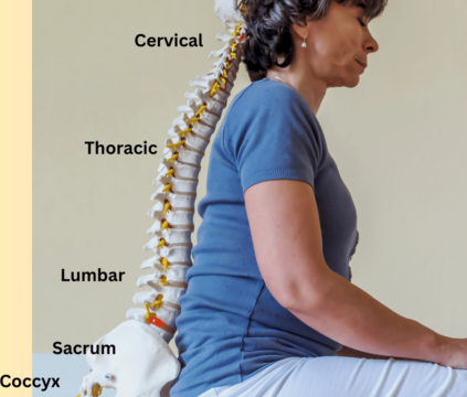 a woman sits and her spinal skeleton shows in detail